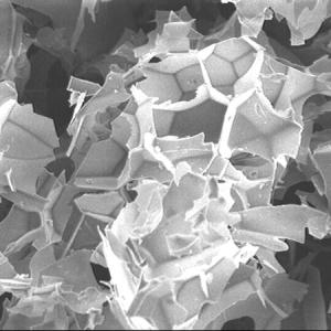 Celatom Perlite